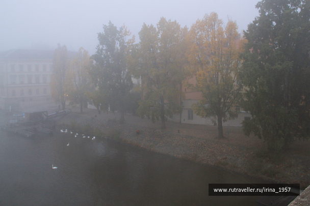 photo 1274144