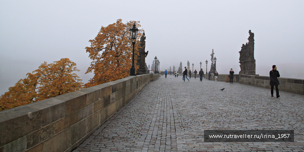 photo 1278301