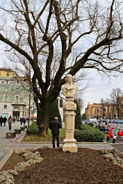 photo 1247243