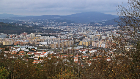 photo 1438603