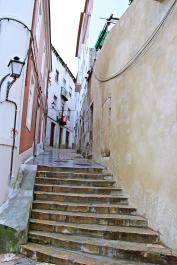 photo 1446432