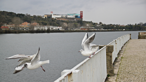 photo 1454413