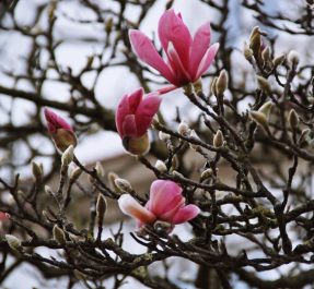 photo 1458203