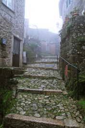 photo 1461846