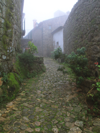 photo 1462055
