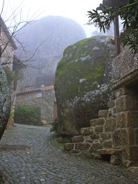 photo 1464669