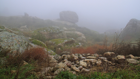 photo 1476329