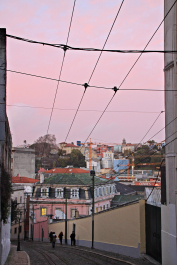 photo 1484962