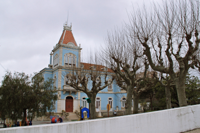 photo 1514585