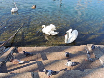 photo 1767314