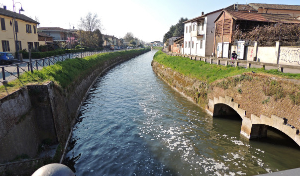 DSCN0617