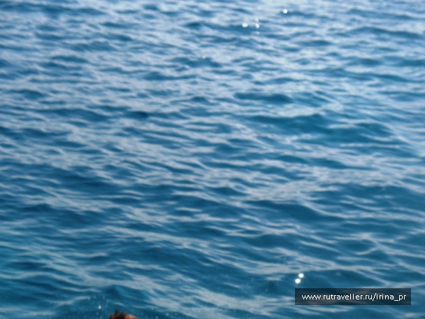 photo 129509