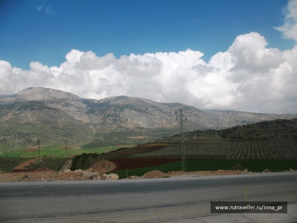 photo 129516