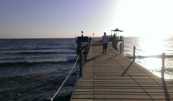 IMAG0731