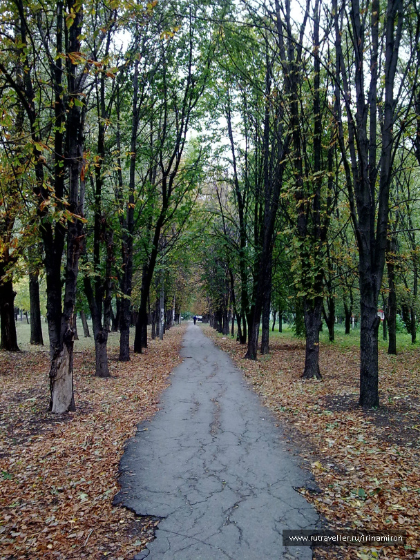 photo 240464
