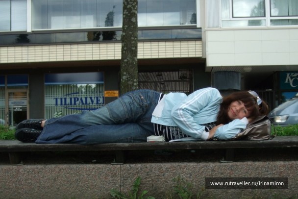 photo 240471