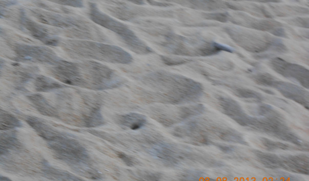 DSCN0345