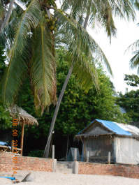 photo 493541