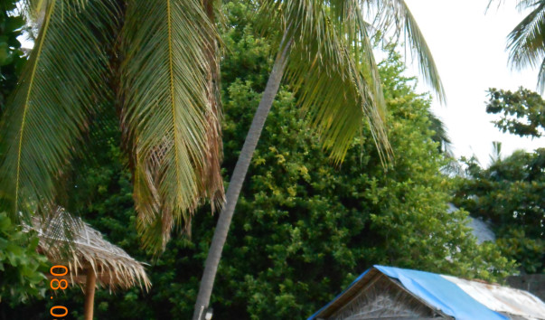 DSCN0344