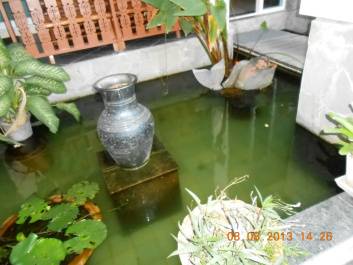 photo 493592