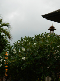 photo 493596