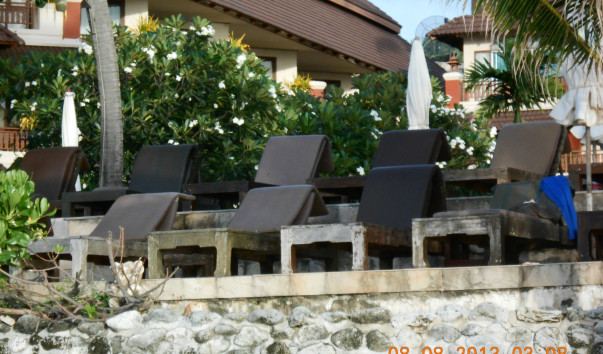 DSCN0356