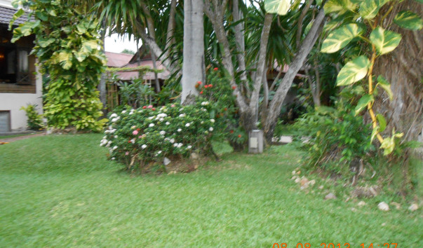 DSCN0384