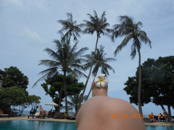 photo 499622