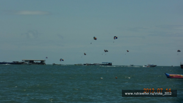 photo 146384