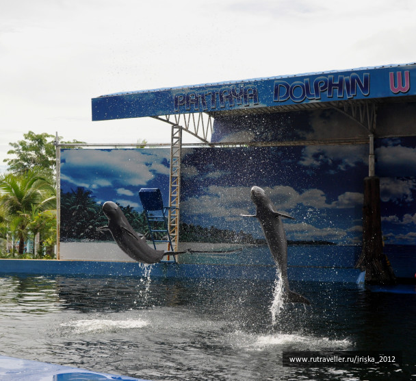 photo 146389
