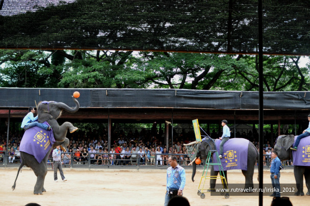 photo 147624