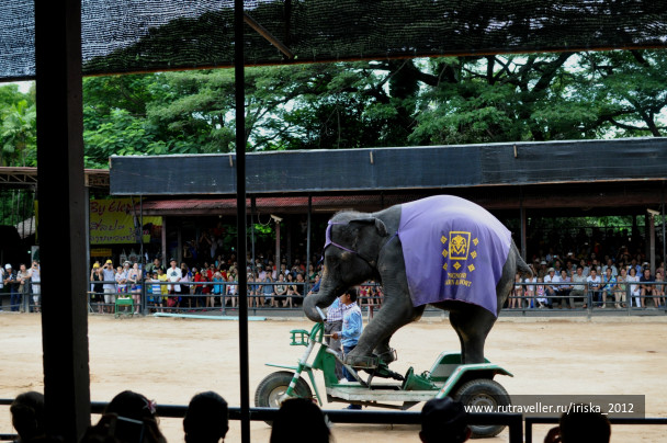 photo 147628