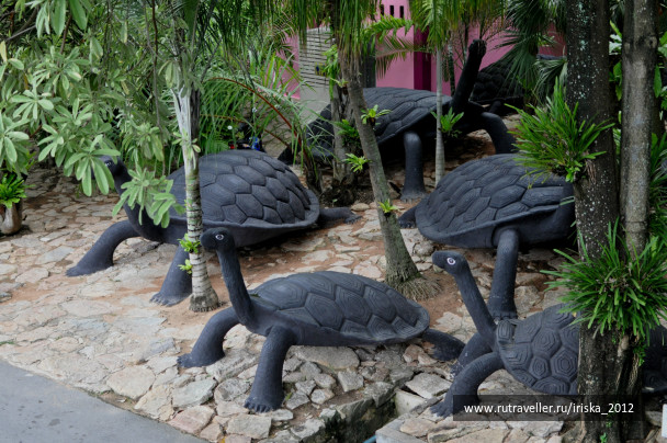 photo 147632