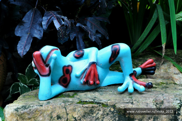 photo 147643