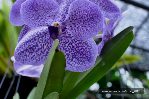 photo 147644