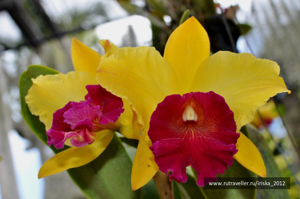 photo 147645