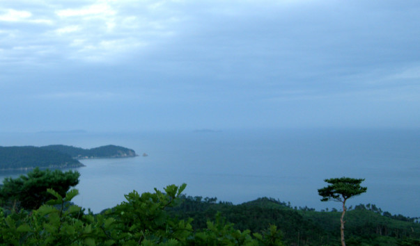 P8072366
