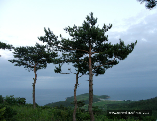 photo 164949