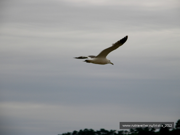 photo 164950