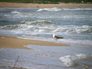 photo 164953