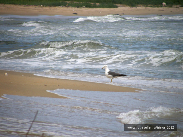 photo 164953