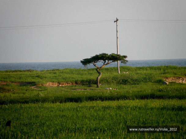 photo 164959