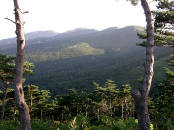photo 164961