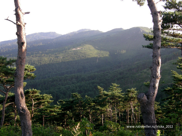 photo 164961