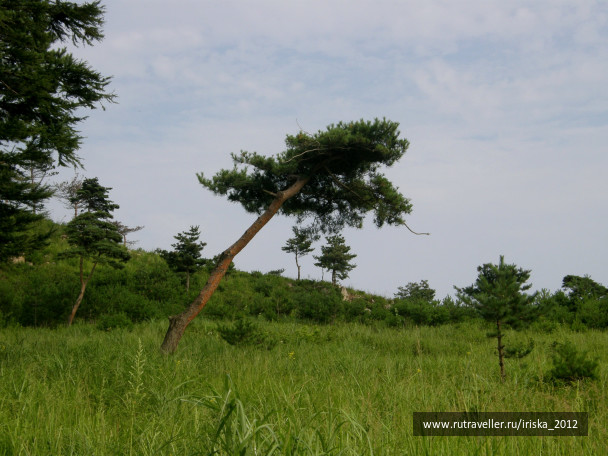 photo 164970