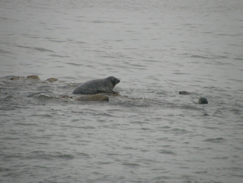 photo 164973