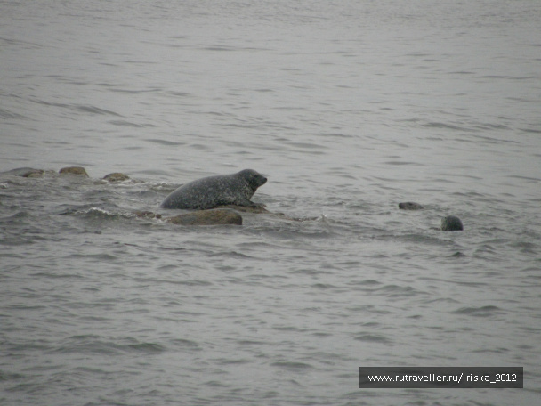 photo 164973