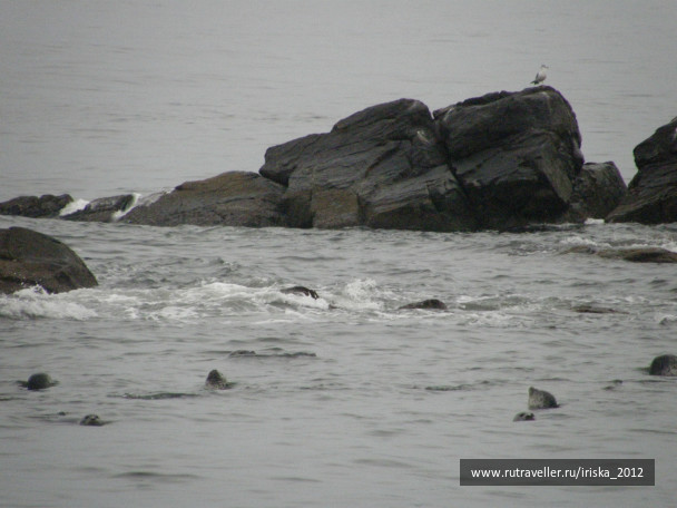 photo 164974
