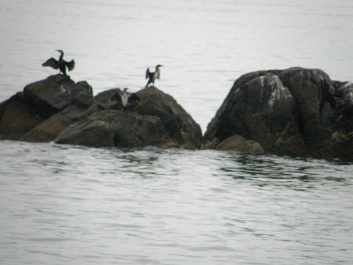 photo 164975