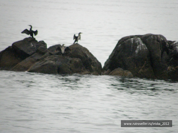 photo 164975